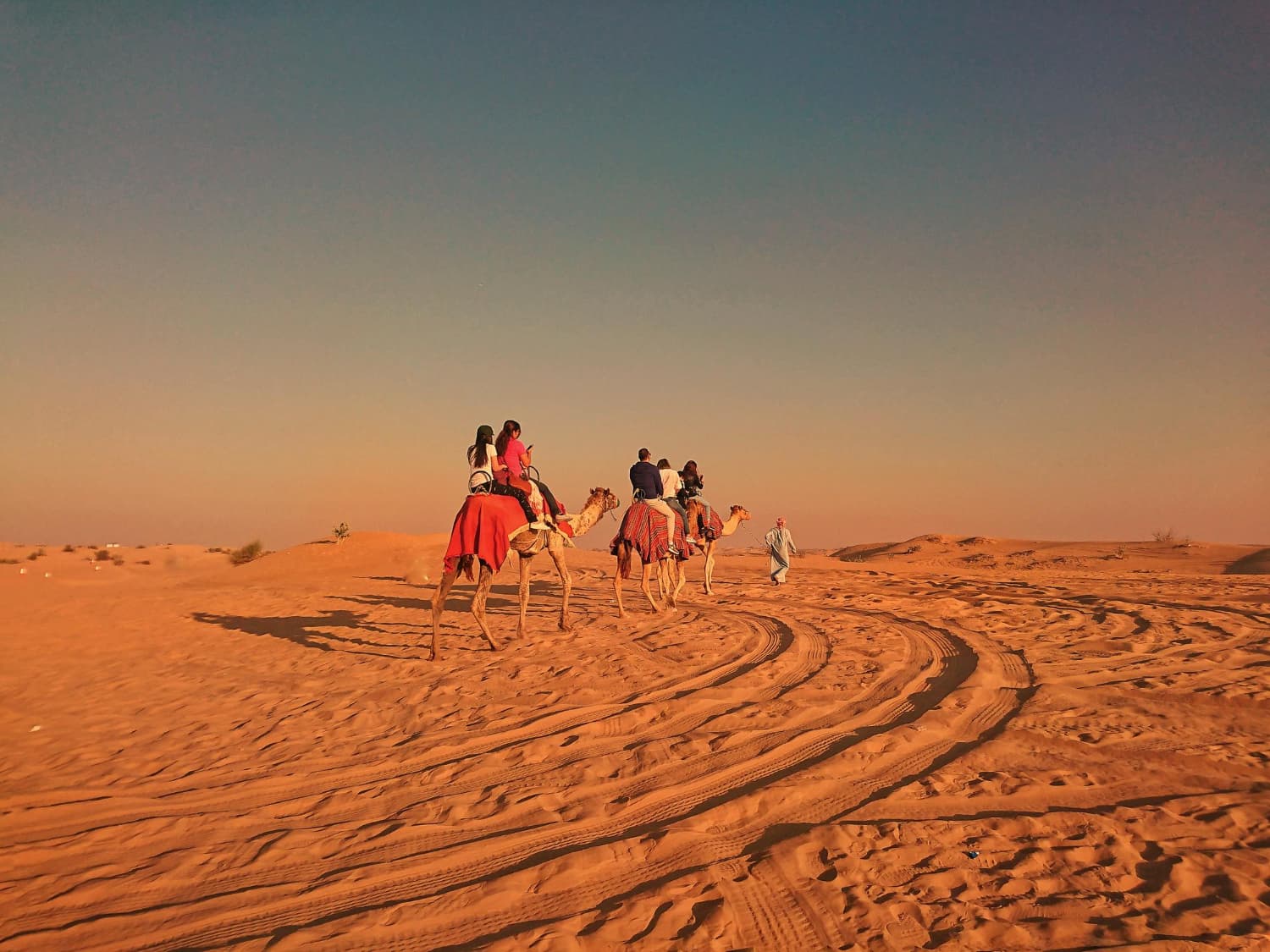 Dubai: Premium 4 hours evening desert safari, Sand boarding & Camel ride