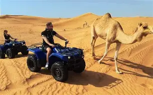 Dubai: Premium Morning Desert Safari with Quad Bike Adventure gallery image 4